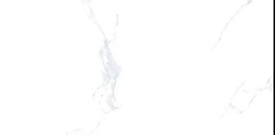 1611024178395074.jpg 6.jpg