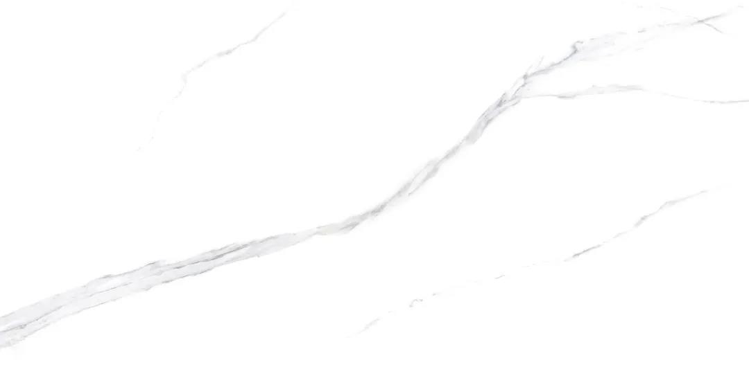 1611024697103568.jpg 6.jpg